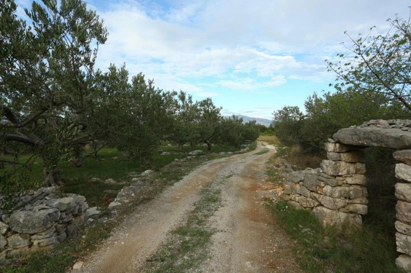 Apartman "Olive Grove" 4